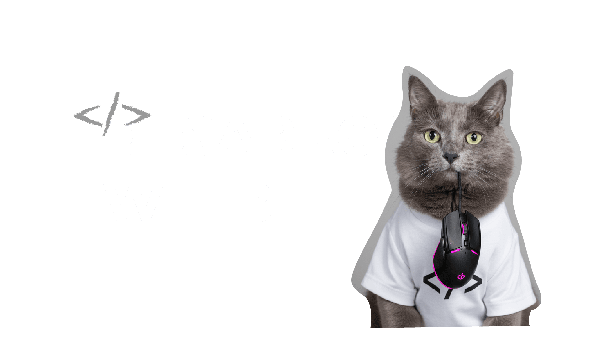 desarrollo web